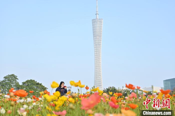 Tourists enjoy blooming flowers in SE China’s Guangdong Province