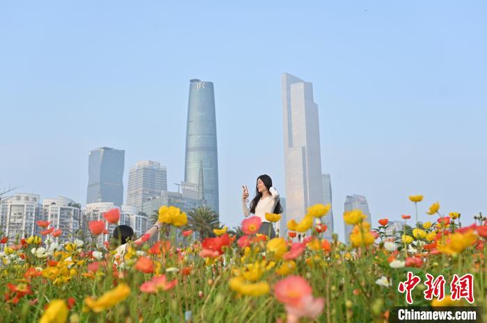 Tourists enjoy blooming flowers in SE China’s Guangdong Province