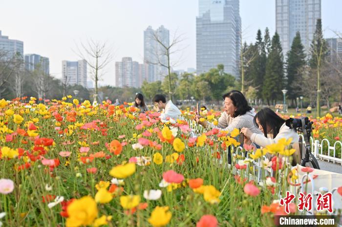 Tourists enjoy blooming flowers in SE China’s Guangdong Province