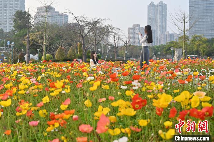 Tourists enjoy blooming flowers in SE China’s Guangdong Province