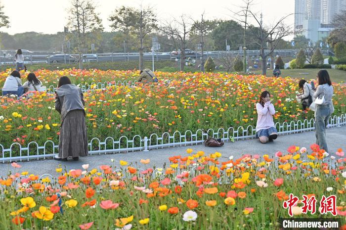 Tourists enjoy blooming flowers in SE China’s Guangdong Province