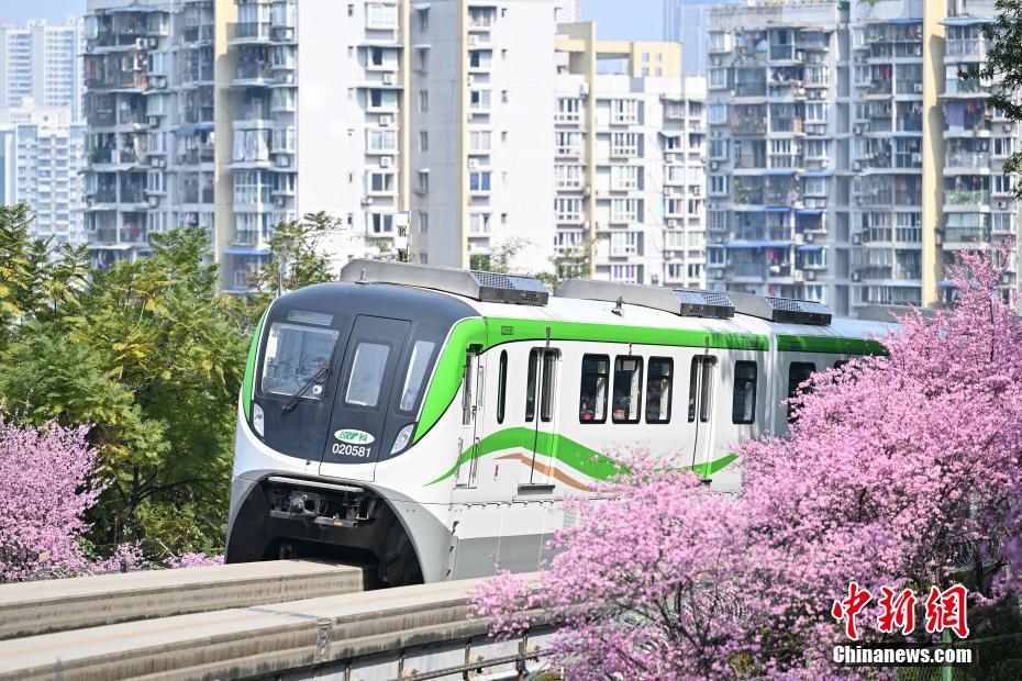 “The Train to Spring” seen in SW China’s Chongqing