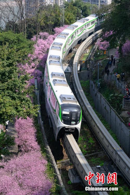 “The Train to Spring” seen in SW China’s Chongqing