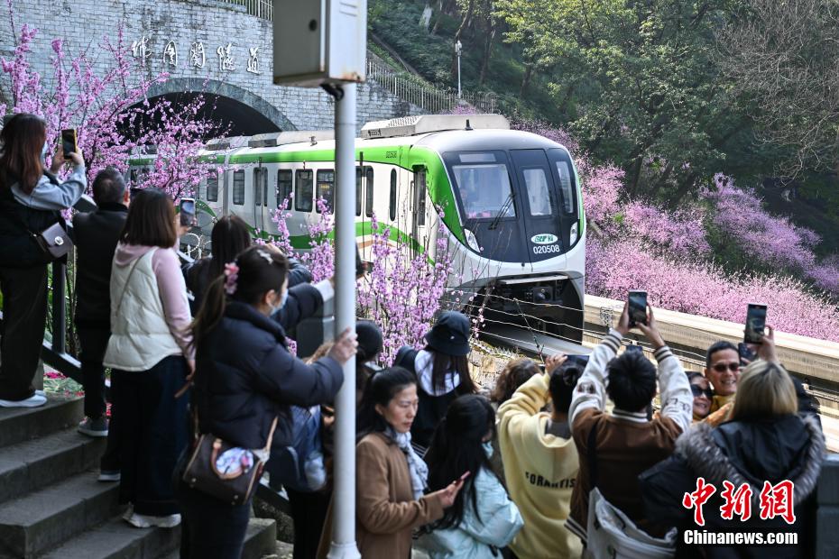 “The Train to Spring” seen in SW China’s Chongqing