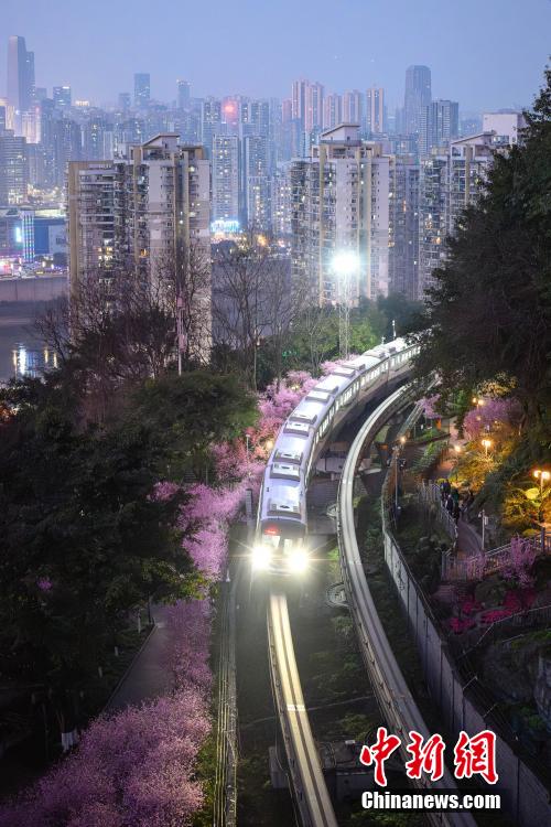 “The Train to Spring” seen in SW China’s Chongqing