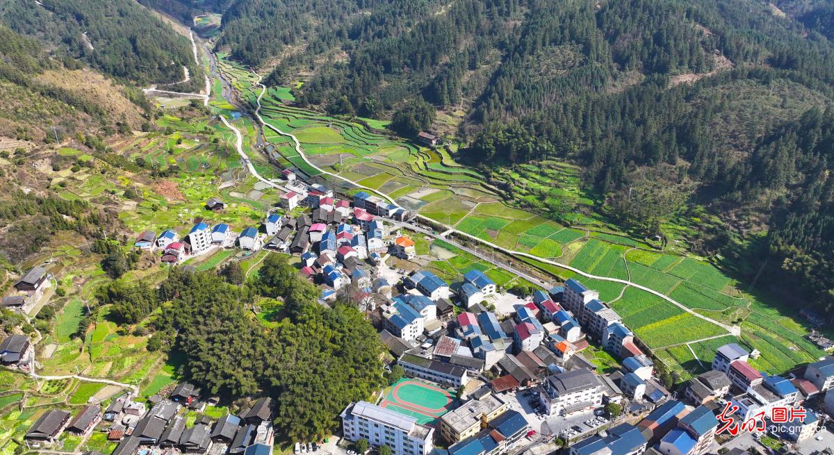 Countryside spring picture scroll in SW China’s Guizhou