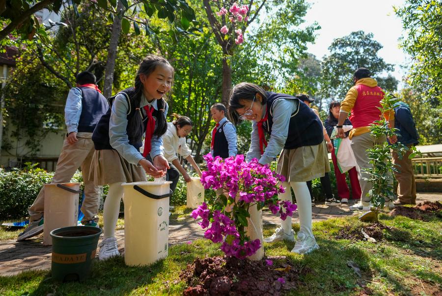 In pics: Tree planting activity is held in SW China's Kunming