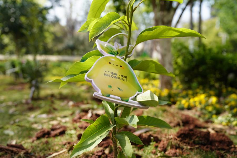 In pics: Tree planting activity is held in SW China's Kunming