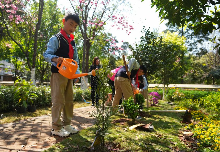 In pics: Tree planting activity is held in SW China's Kunming