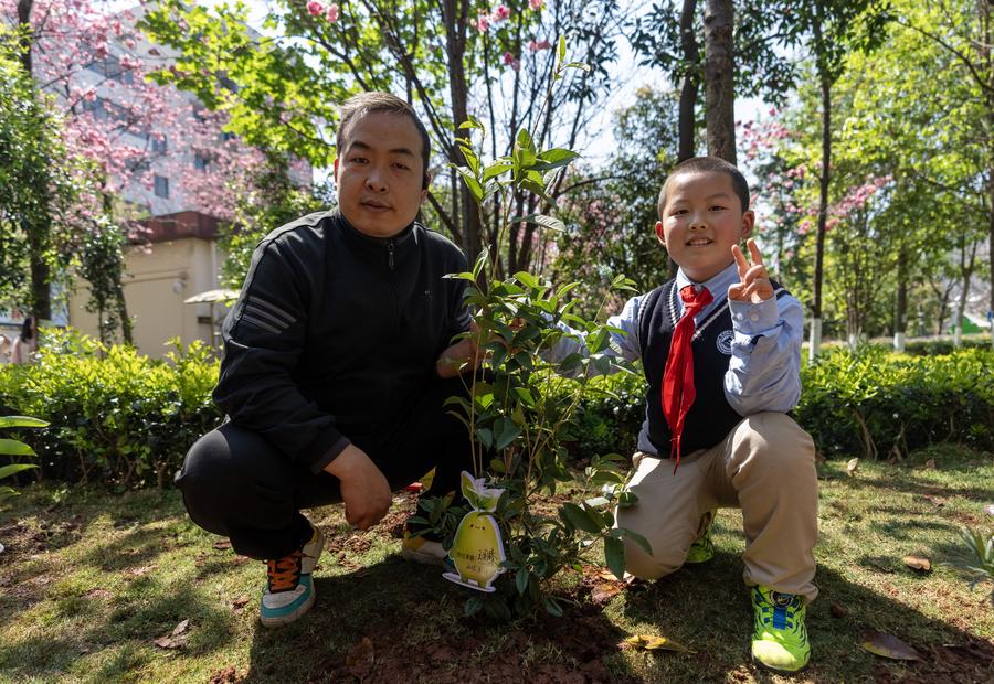 In pics: Tree planting activity is held in SW China's Kunming