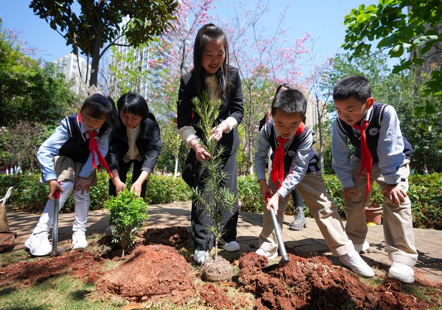 In pics: Tree planting activity is held in SW China's Kunming