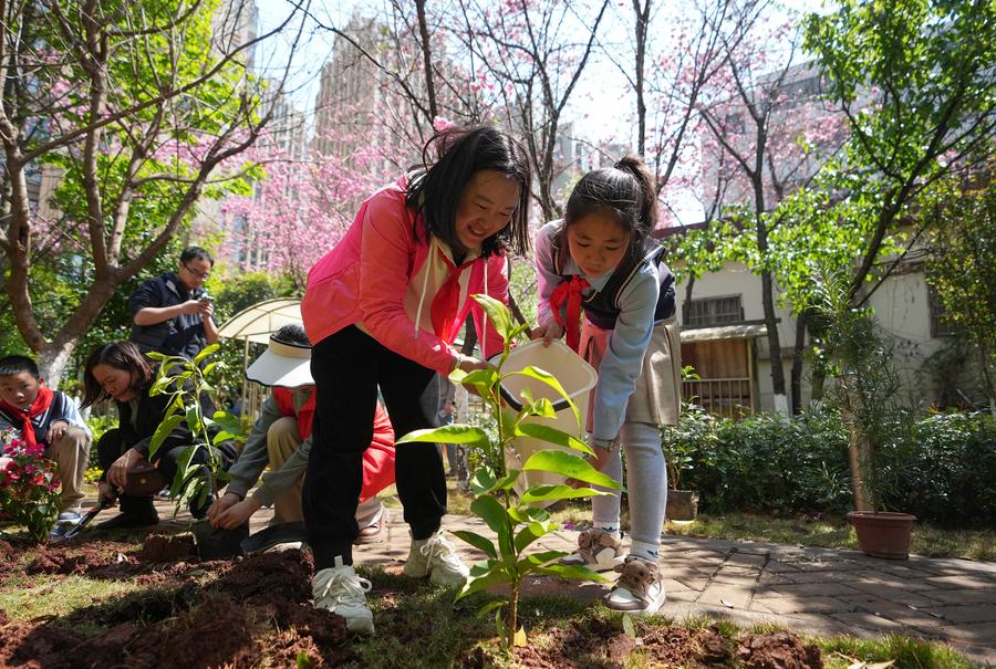 In pics: Tree planting activity is held in SW China's Kunming