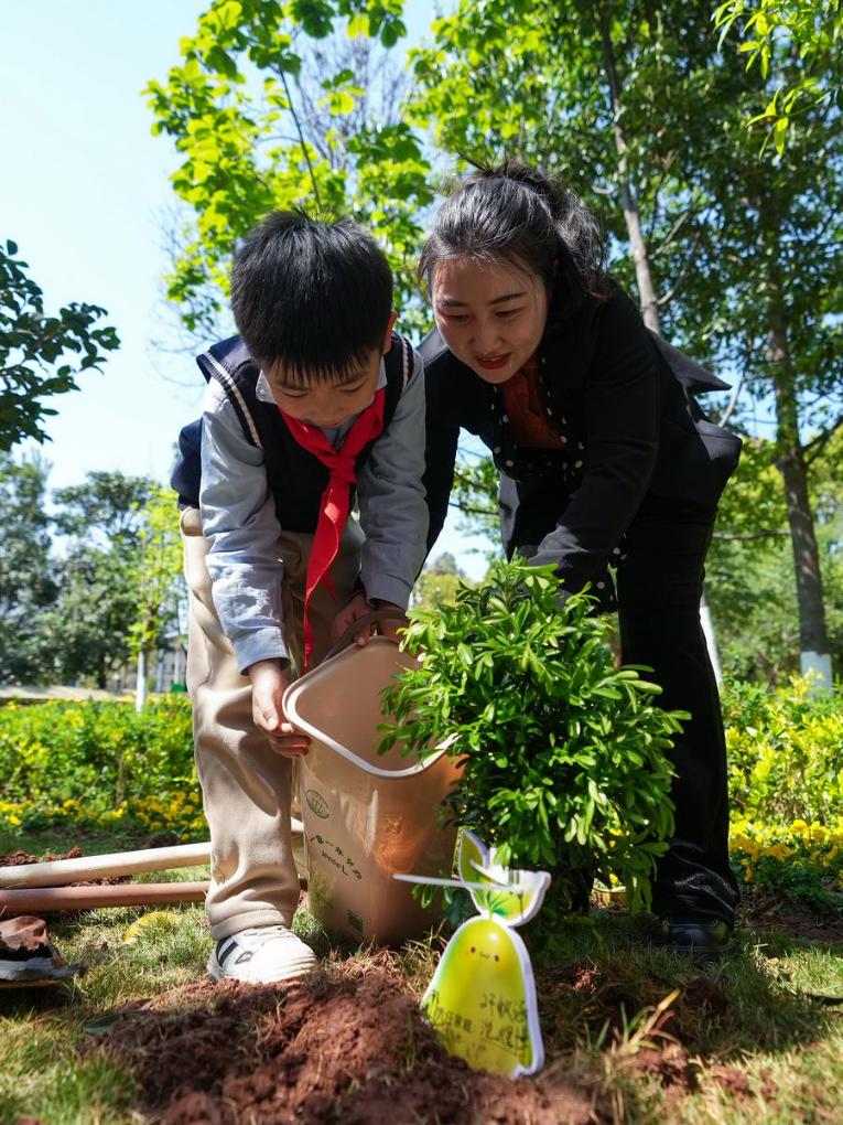 In pics: Tree planting activity is held in SW China's Kunming