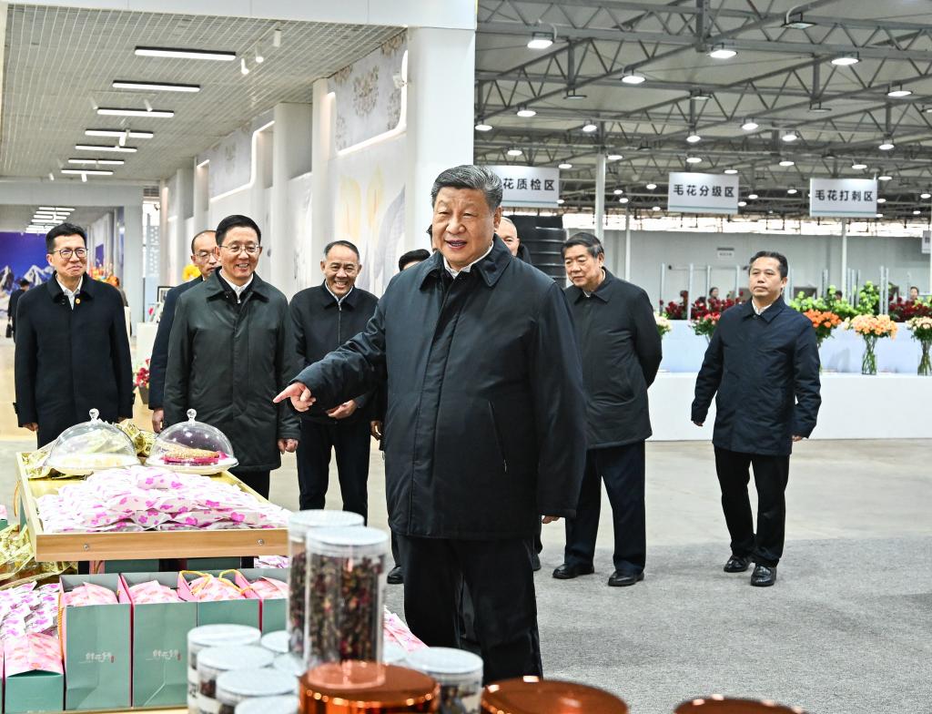 Xi urges opening new ground for development during inspection tour in Yunnan