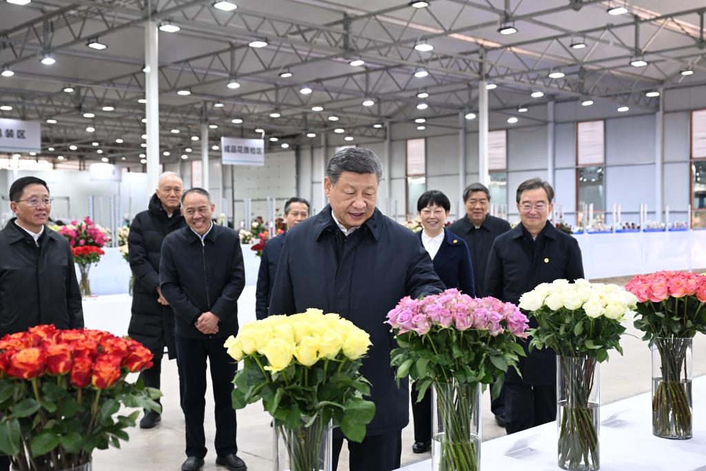 Xi urges opening new ground for development during inspection tour in Yunnan