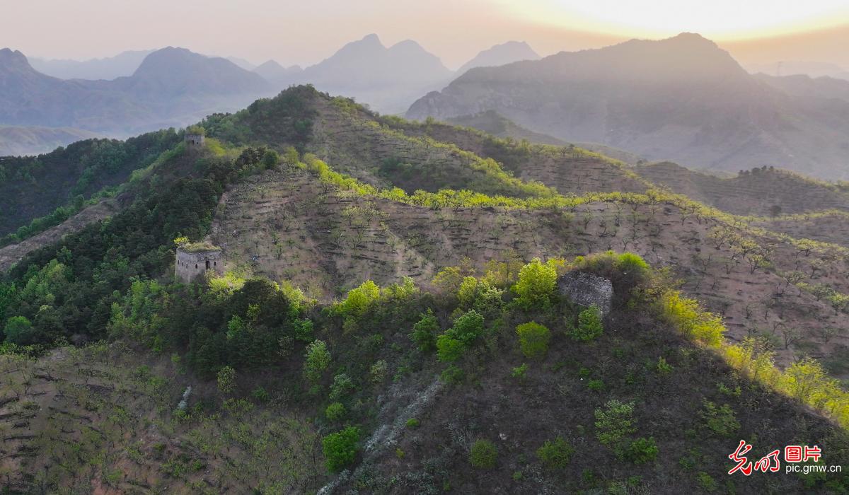 Ancient Great Wall shrouded in Spring morning mist
