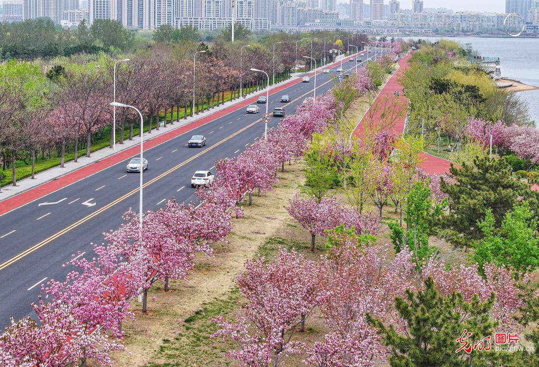 Scenery of 