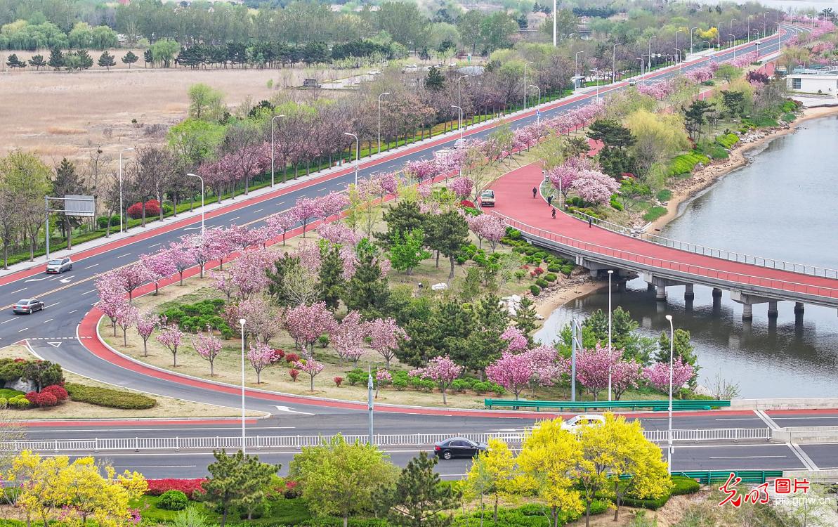 Scenery of 