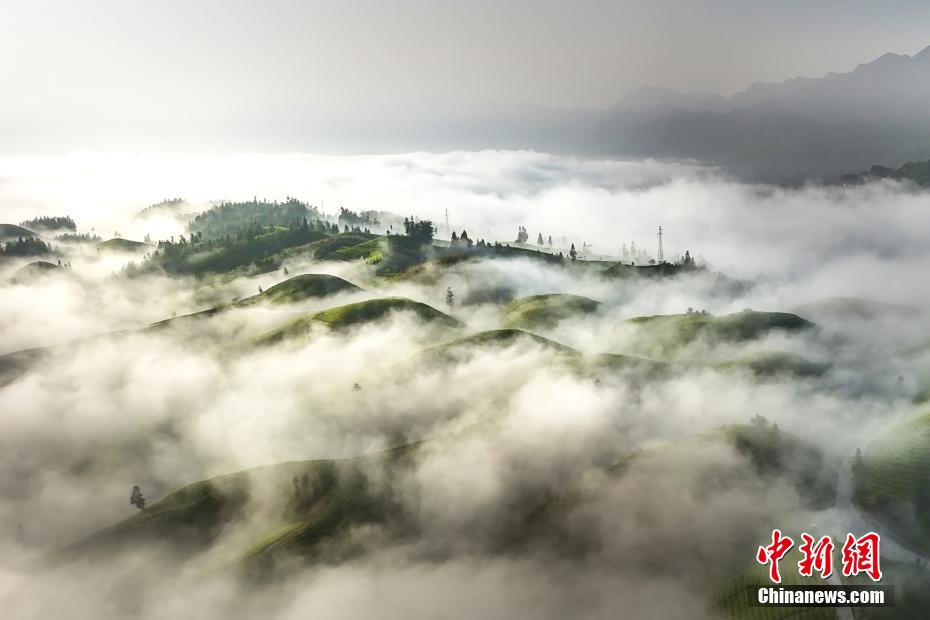 Stunning scenery of sea of clouds in C China’s Hubei Province
