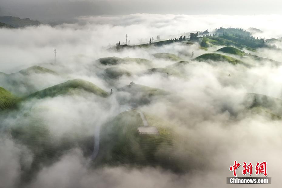 Stunning scenery of sea of clouds in C China’s Hubei Province