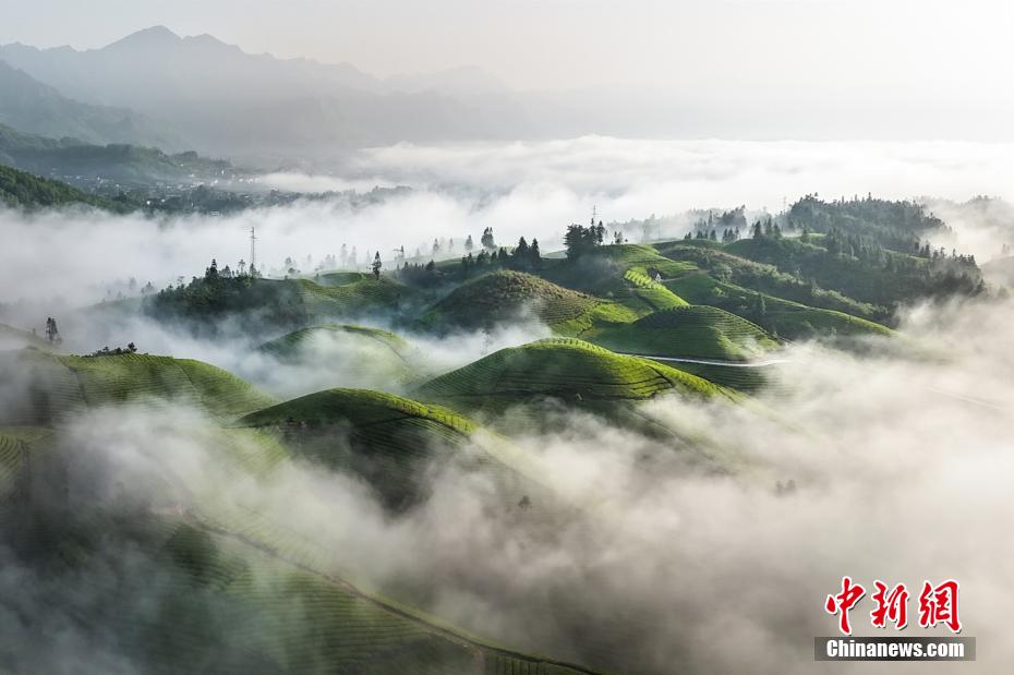 Stunning scenery of sea of clouds in C China’s Hubei Province
