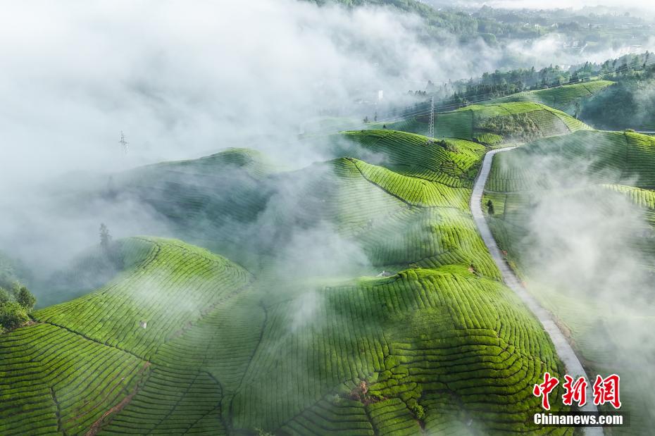 Stunning scenery of sea of clouds in C China’s Hubei Province