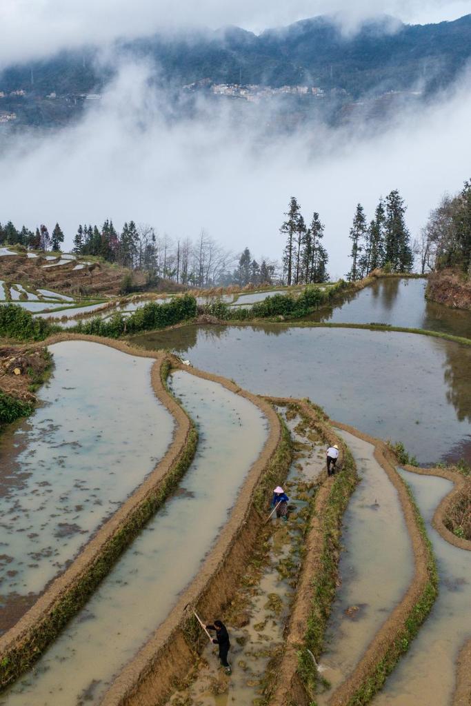 1,300-year-old agricultural ecosystem shines in SW China's Yunnan