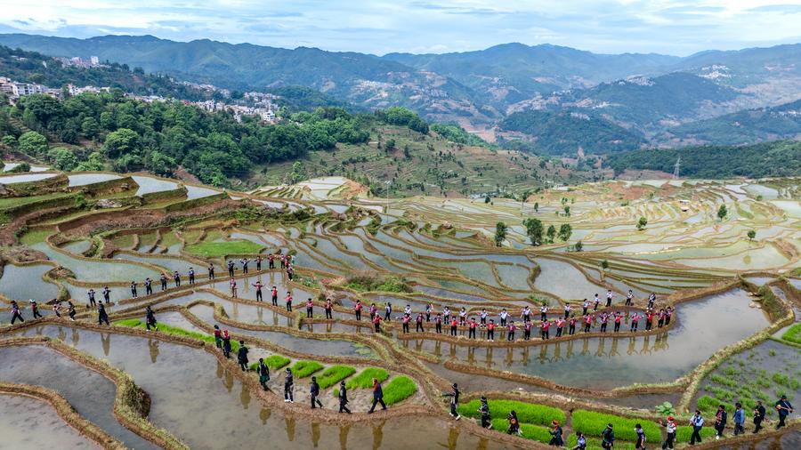 1,300-year-old agricultural ecosystem shines in SW China's Yunnan