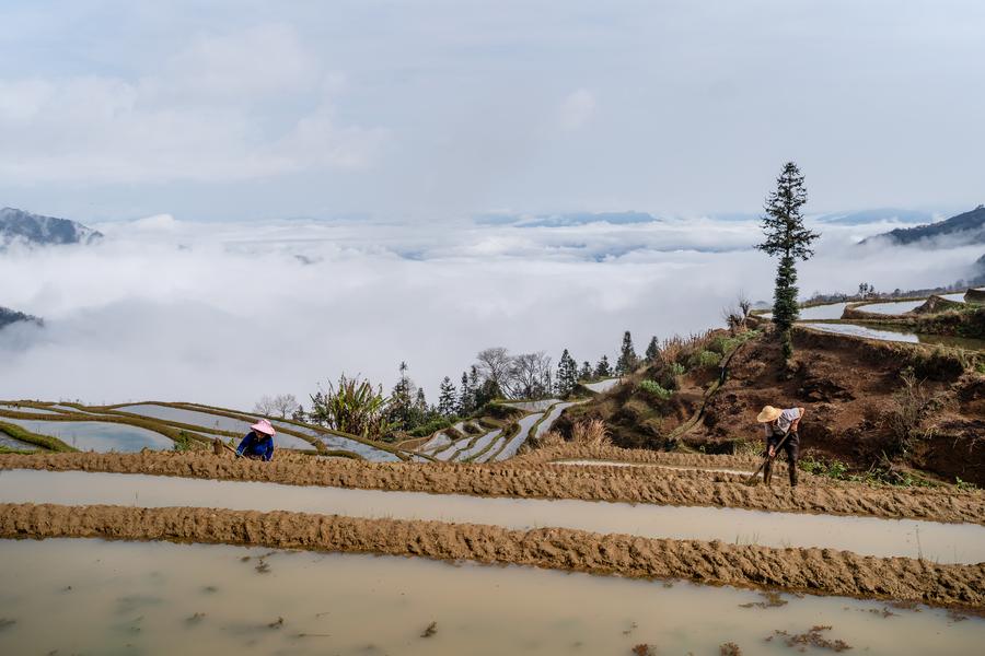 1,300-year-old agricultural ecosystem shines in SW China's Yunnan