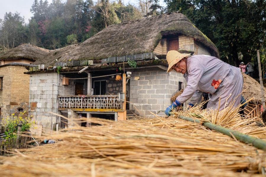 1,300-year-old agricultural ecosystem shines in SW China's Yunnan