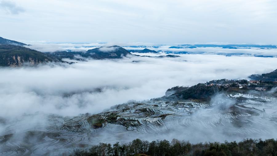 1,300-year-old agricultural ecosystem shines in SW China's Yunnan
