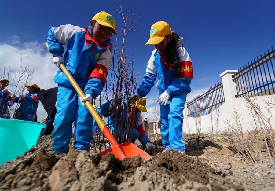 太極股份發(fā)布2024年年報(bào)，擬分紅0.58億元