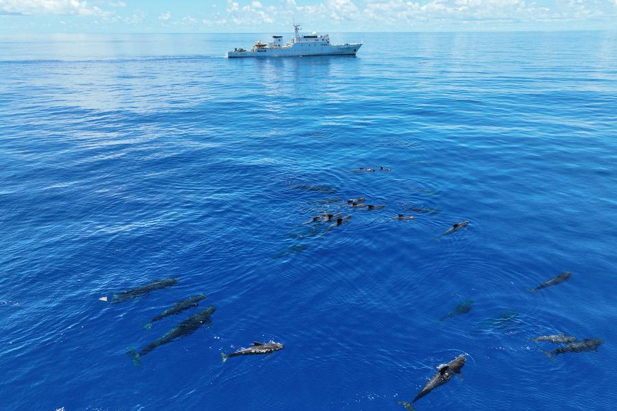 Chinese scientists upgrade resolution of global climate-ocean simulation to 1 km