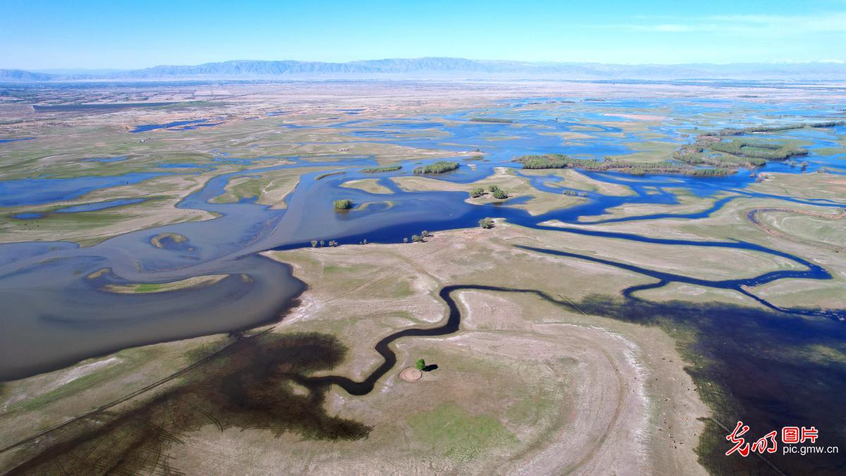 Picturesque scenery of Kekesu wetland in Xinjiang