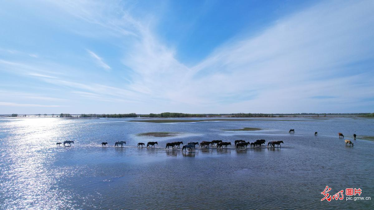 Picturesque scenery of Kekesu wetland in Xinjiang