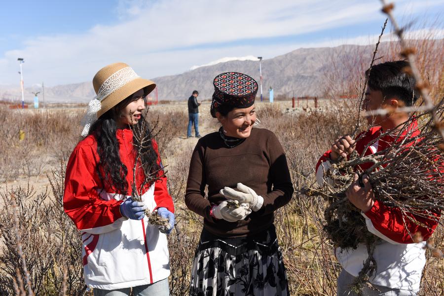 China's vast northwest inspires a new generation