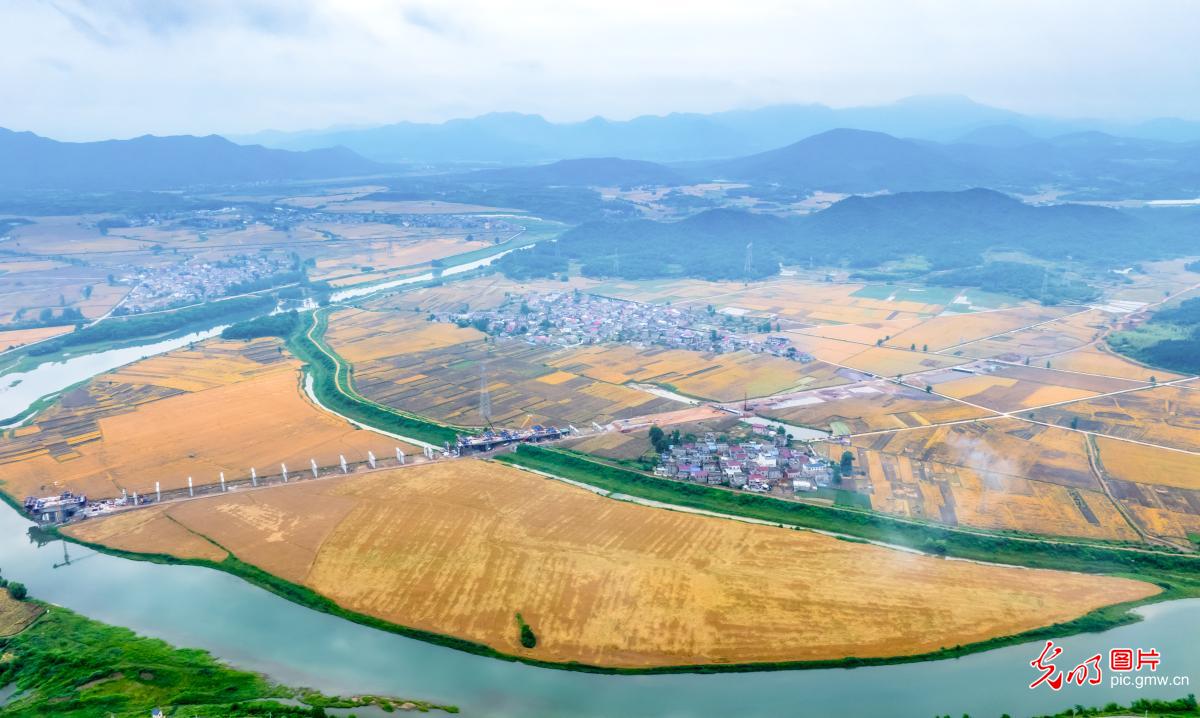 Rural tapestry in E China's Anhui