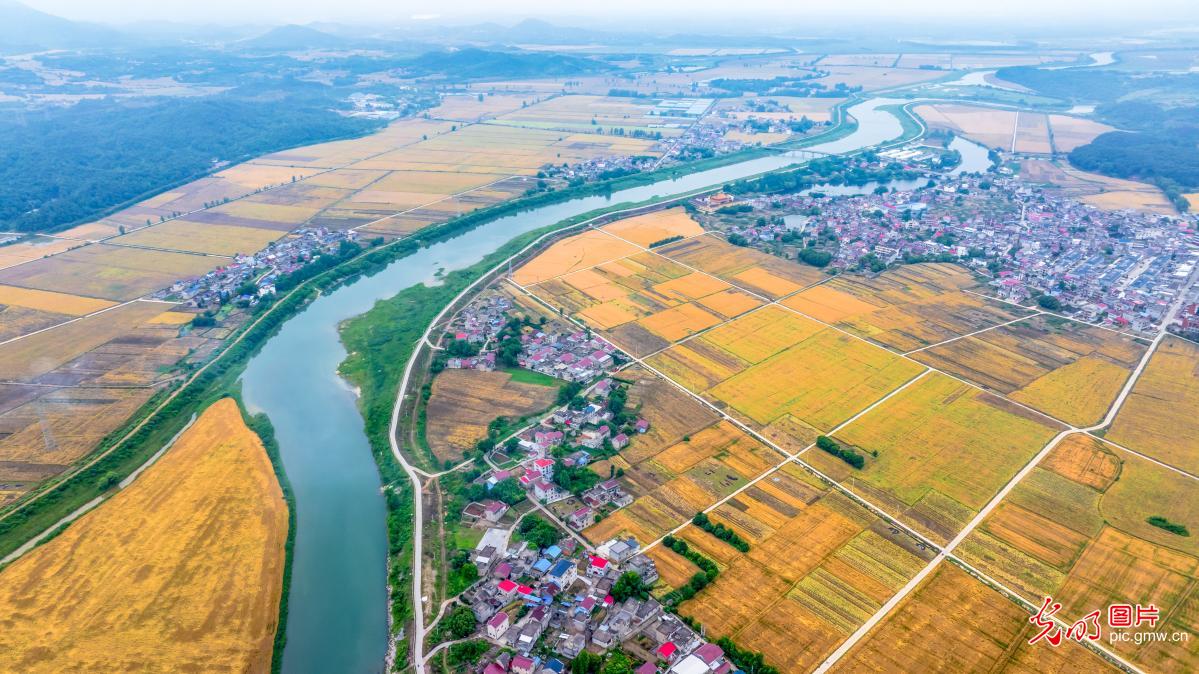 Rural tapestry in E China's Anhui