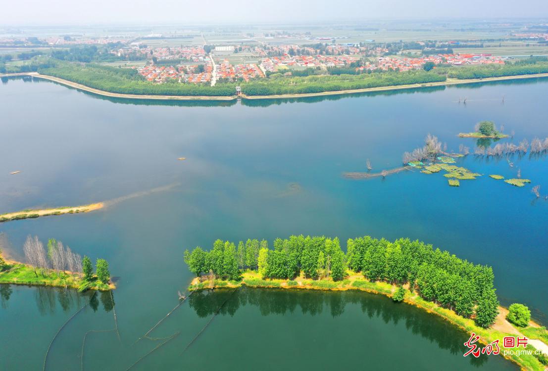Early summer scenery of Dagu River in E China's Shandong