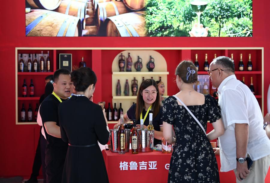 EconomyInFocus | 9th Silk Road Int'l Exposition kicks off in Xi'an