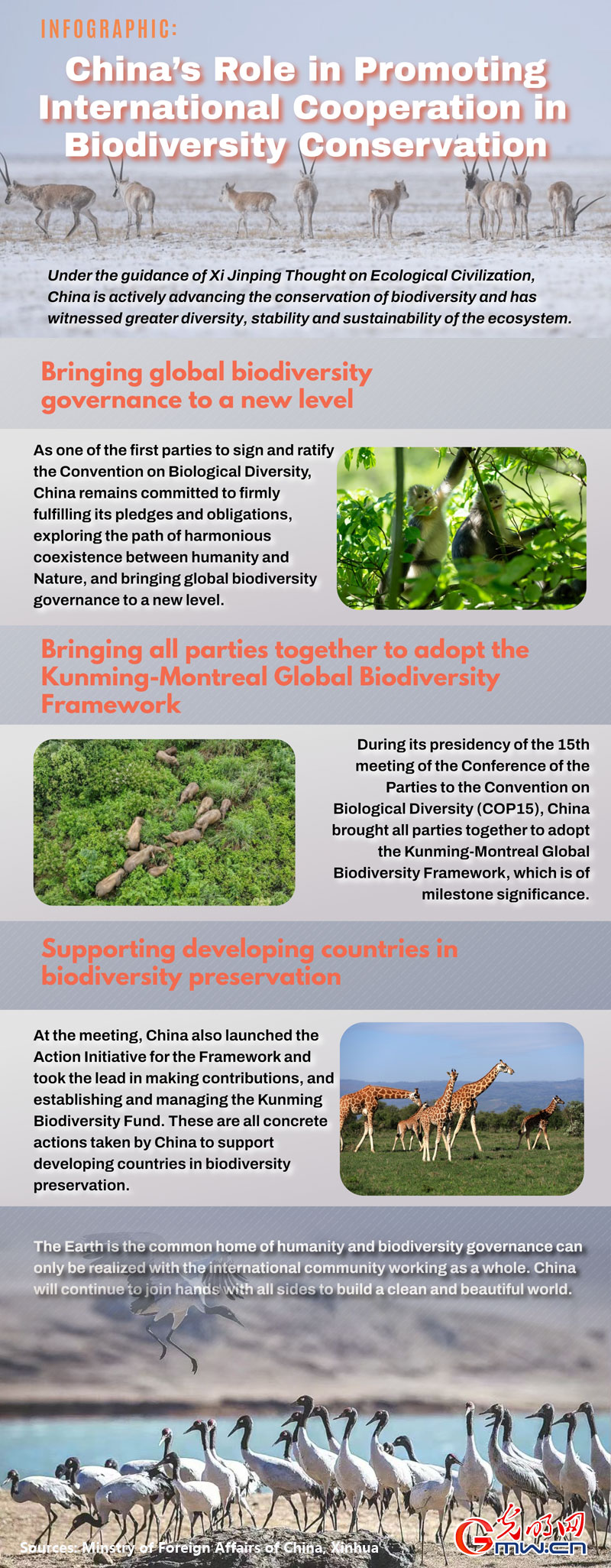 Infographic: China’s role in promoting international cooperation in biodiversity conservation