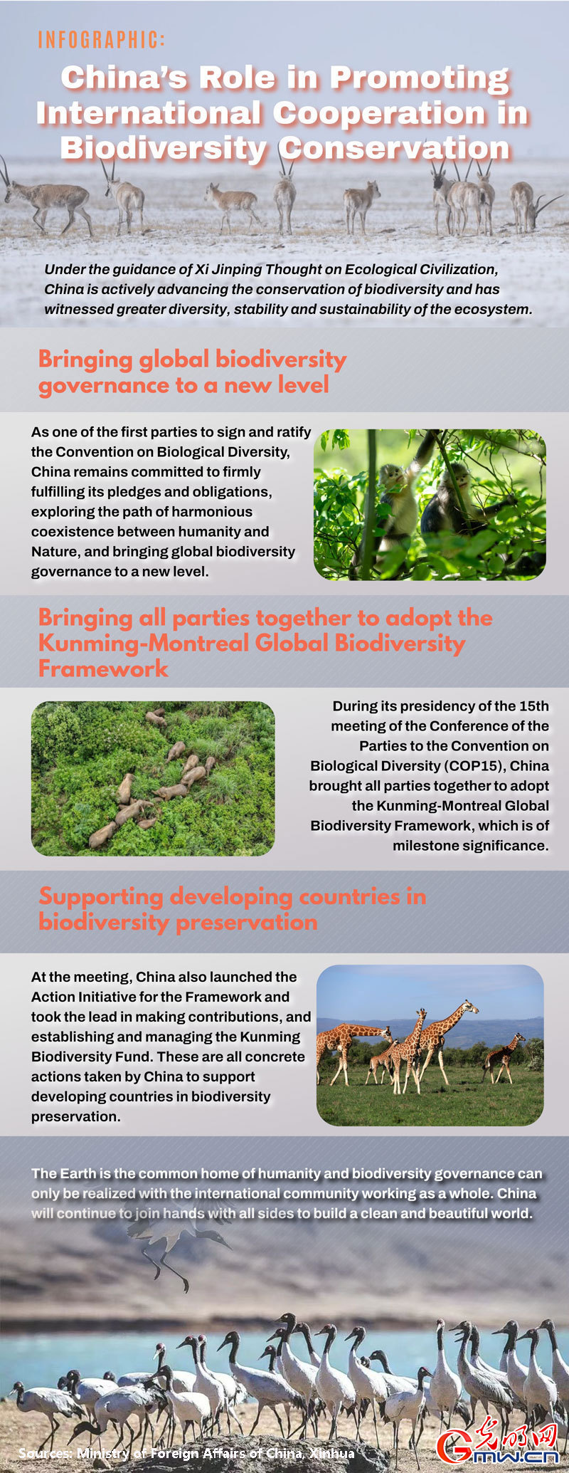 Infographic: China’s role in promoting international cooperation in biodiversity conservation