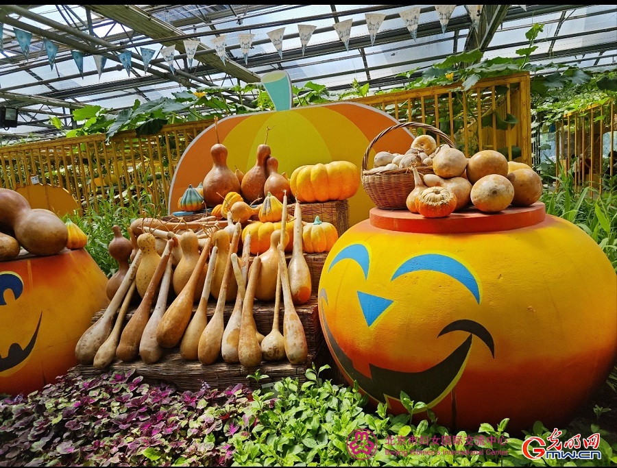Beijing Women and Children Development Demonstration Base: Beijing Garden of World’s Flowers