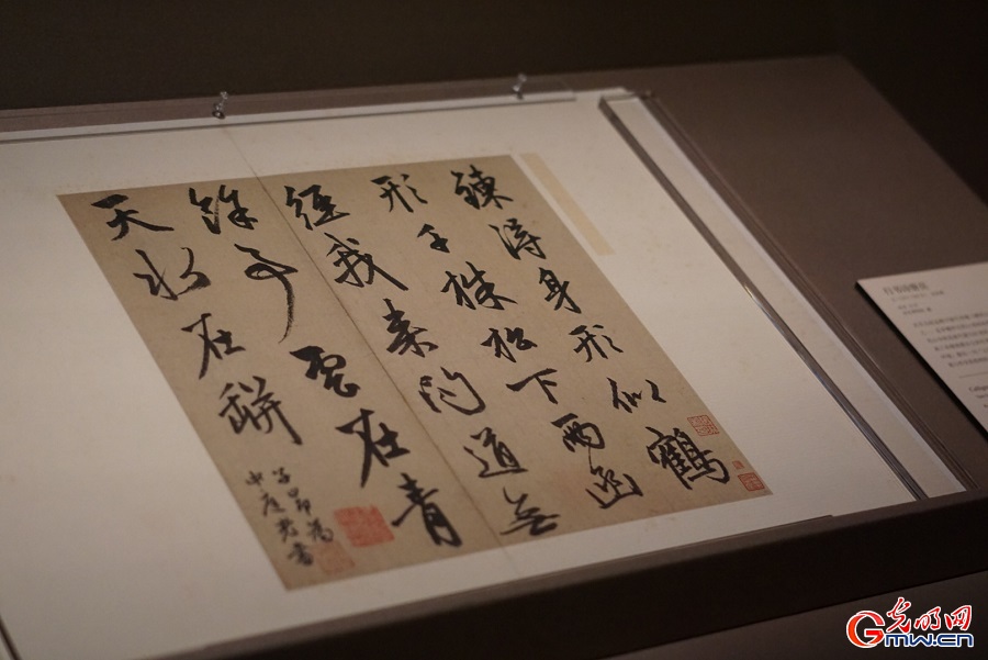 Palace Museum traces history through garden-themed exhibition