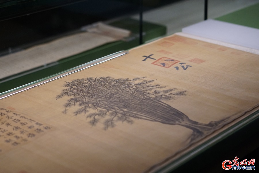 Palace Museum traces history through garden-themed exhibition