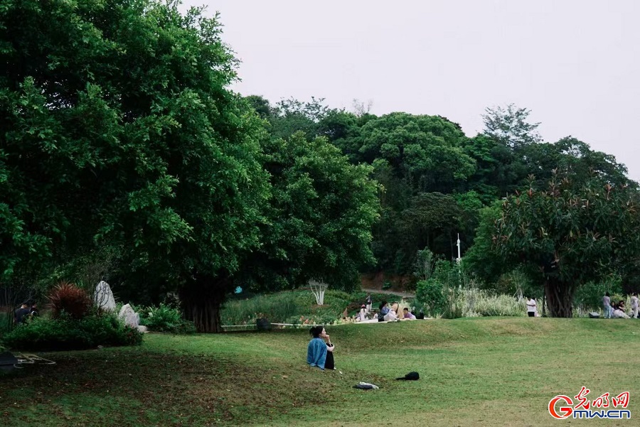 Leisure, nature blend on lawns of Wutong Mountain