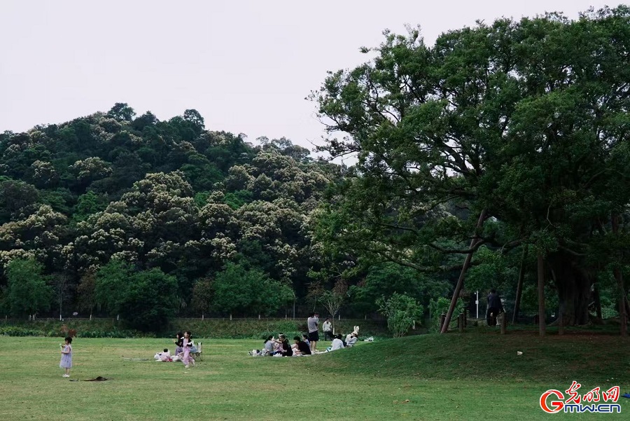 Leisure, nature blend on lawns of Wutong Mountain