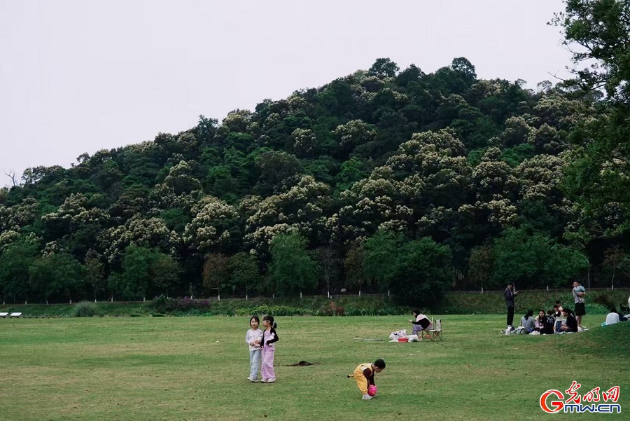 Leisure, nature blend on lawns of Wutong Mountain