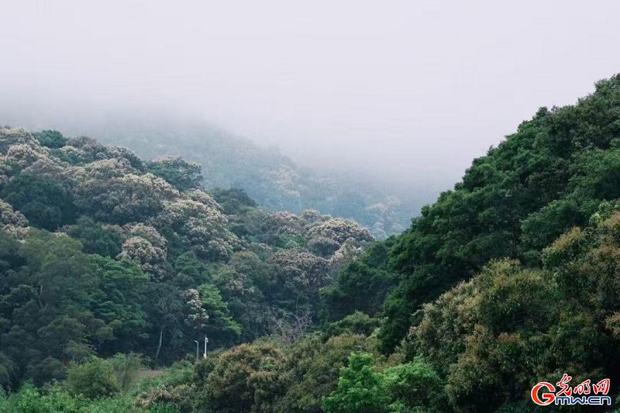 Leisure, nature blend on lawns of Wutong Mountain