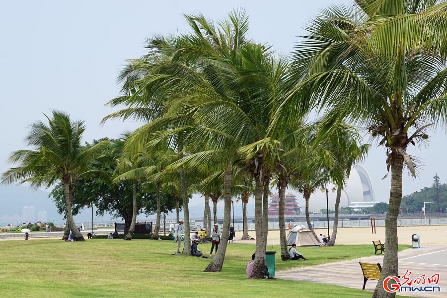 In pics: coastal scenery of Zhuhai City